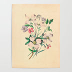  Wildflowers by Clarissa Munger Badger, 1859 (benefitting The Nature Conservancy) Poster Gallery Image 4
