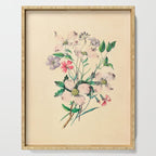  Wildflowers by Clarissa Munger Badger, 1859 (benefitting The Nature Conservancy) Serving Tray Gallery Image 1