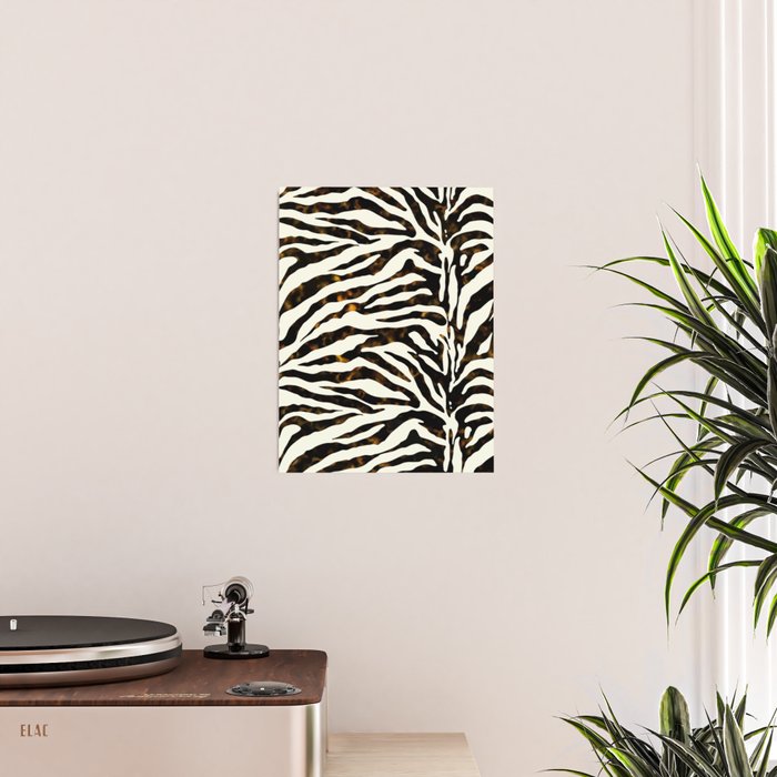 Tortoiseshell Zebra Poster Gallery Image 2