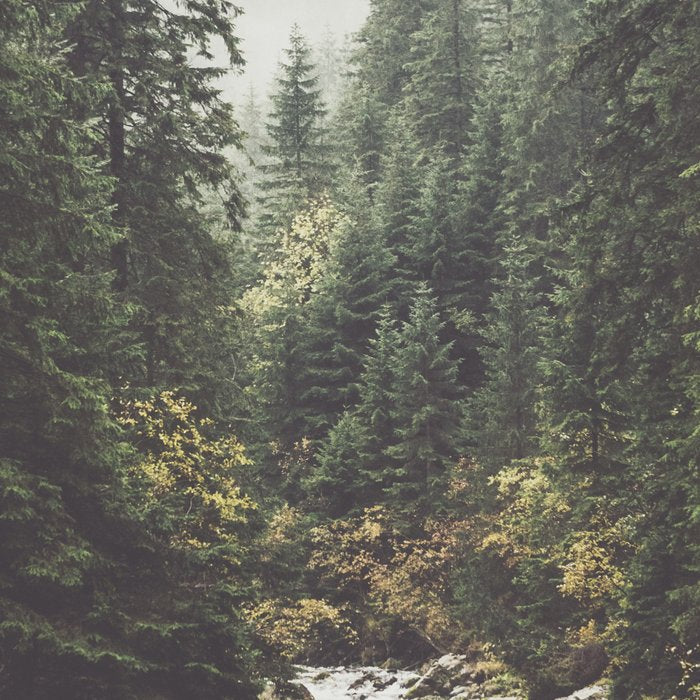 Mountain creek - Landscape and Nature Photography Coffee Mug Gallery Image 2
