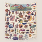 Adolphe Millot Mollusques Larousse Vintage Scientific Encyclopedia Illustration Lithograph Ocean  Wall Tapestry Gallery Image 4