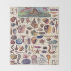Adolphe Millot Mollusques Larousse Vintage Scientific Encyclopedia Illustration Lithograph Ocean  Throw Blanket Gallery Image 2