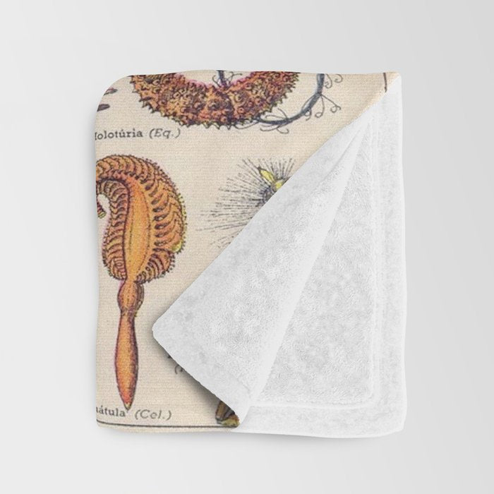 Adolphe Millot Mollusques Larousse Vintage Scientific Encyclopedia Illustration Lithograph Ocean  Throw Blanket Gallery Image 3