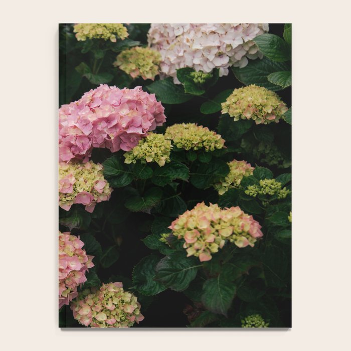Hydrangeas Notebook Gallery Image 4