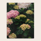 Hydrangeas Notebook Gallery Image 4