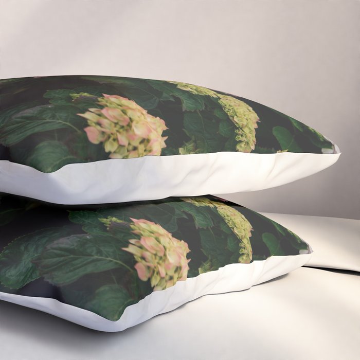 Hydrangeas Pillow Sham Gallery Image 3