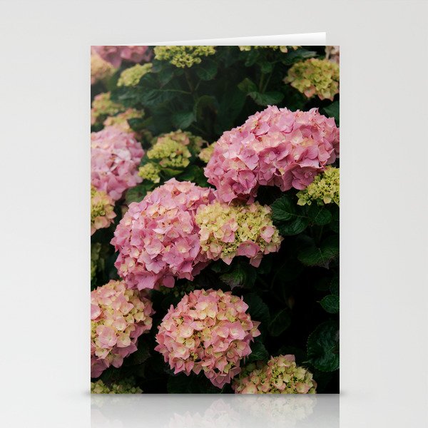 Hydrangeas Stationery Card Gallery Image 1