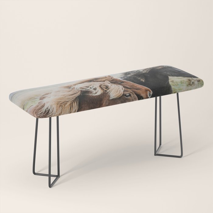 Thingeyrar, Iceland Bench Gallery Image 1