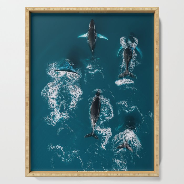 Humpback Whales In The Arctic Serving Tray Gallery Image 1