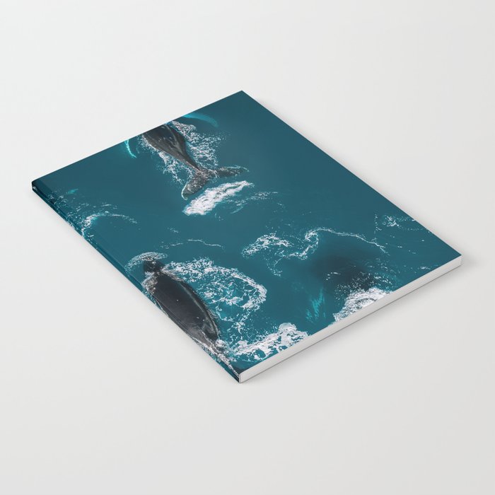 Humpback Whales In The Arctic Notebook Gallery Image 2