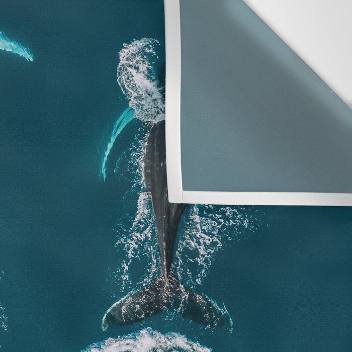 Humpback Whales In The Arctic Wall Tapestry Gallery Image 3