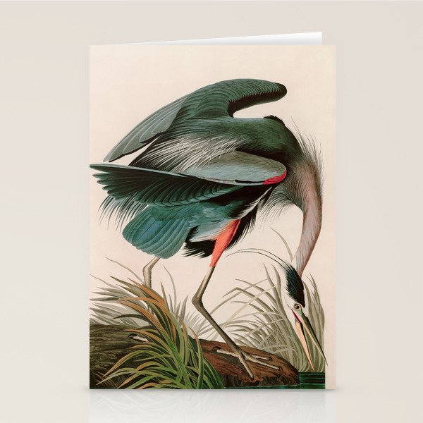 Great Blue Heron Birds of America Audubon Illustration Stationery Card Gallery Image 1