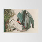 Great Blue Heron Birds of America Audubon Illustration Rug Gallery Image 2