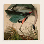 Great Blue Heron Birds of America Audubon Illustration Wood Wall Art Gallery Image 1
