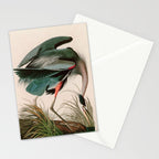 Great Blue Heron Birds of America Audubon Illustration Stationery Card Gallery Image 2