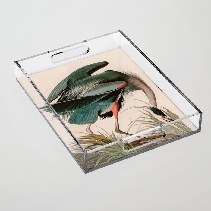 Great Blue Heron Birds of America Audubon Illustration Acrylic Tray Gallery Image 1