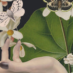 Minimal Collage/ Hand, Plants and Butterflies 6 Coffee Mug Gallery Image 2