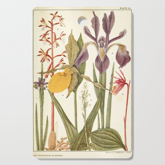Wildflowers from "Rocky Mountain Flowers" (1914) by Edith Clements (benefitting The Nature Conservancy) Cutting Board Gallery Image 1