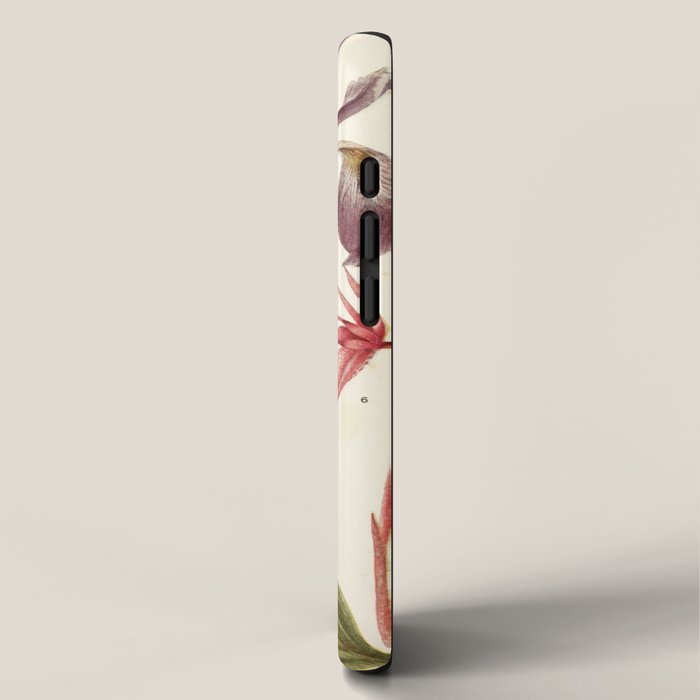 Wildflowers from "Rocky Mountain Flowers" (1914) by Edith Clements (benefitting The Nature Conservancy) iPhone Case Gallery Image 2