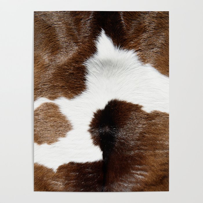 Cowhide Detail Poster Gallery Image 4