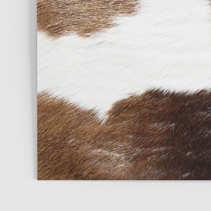 Cowhide Detail Poster Gallery Image 3