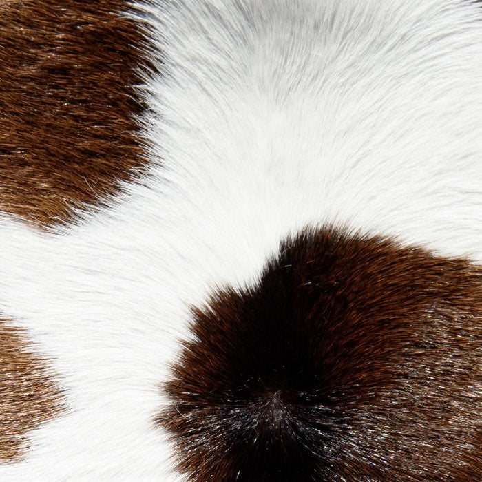 Cowhide Detail Coffee Mug Gallery Image 2