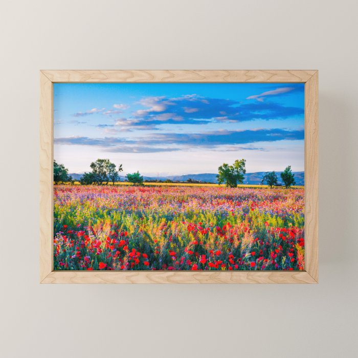 Red poppy field floral blossom landscape color photograph Mini Art Print Gallery Image 1