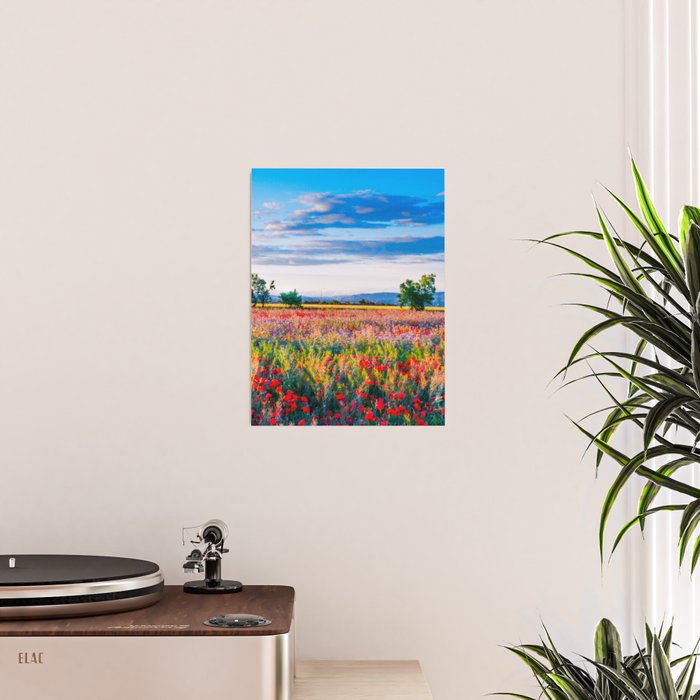 Red poppy field floral blossom landscape color photograph Poster Gallery Image 2