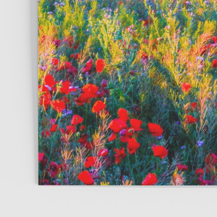 Red poppy field floral blossom landscape color photograph Poster Gallery Image 3