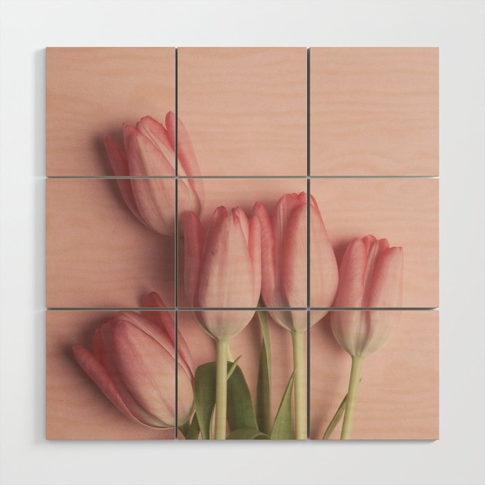 Pretty Pink Tulips spring still life flower photograph Wood Wall Art Gallery Image 1