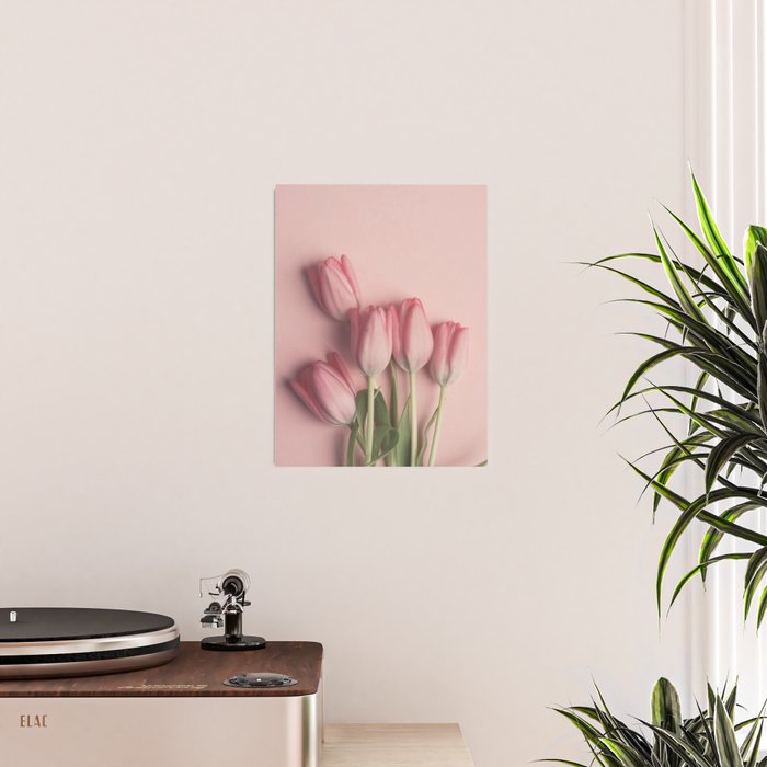 Pretty Pink Tulips spring still life flower photograph Poster Gallery Image 2