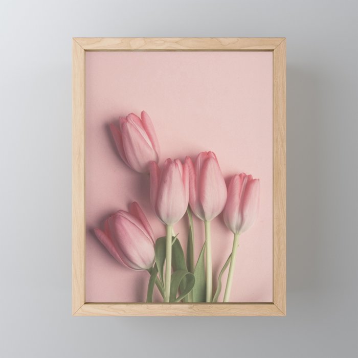 Pretty Pink Tulips spring still life flower photograph Mini Art Print Gallery Image 1