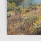 Arizona Saguaro Poster Gallery Image 3