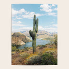 Arizona Saguaro Poster Gallery Image 4