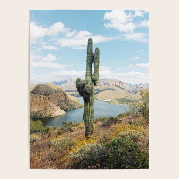 Arizona Saguaro Poster Gallery Image 4