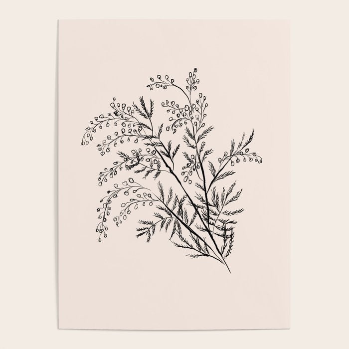 Minimal Acacia Branch Poster Gallery Image 4