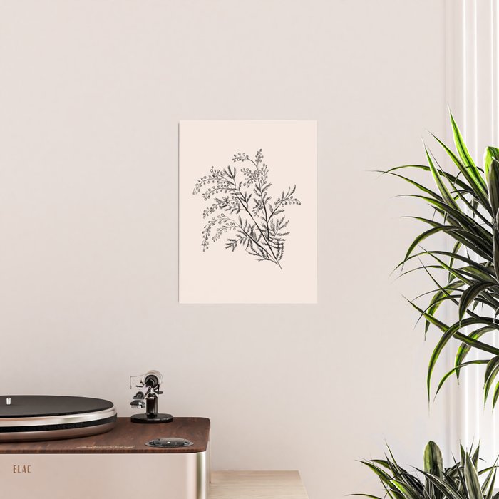 Minimal Acacia Branch Poster Gallery Image 2