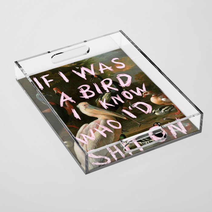 If I Was A Bird Acrylic Tray Gallery Image 1