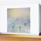 flower photography - dandelion - pastel yellow baby blue floral Wall Mural Gallery Image 2