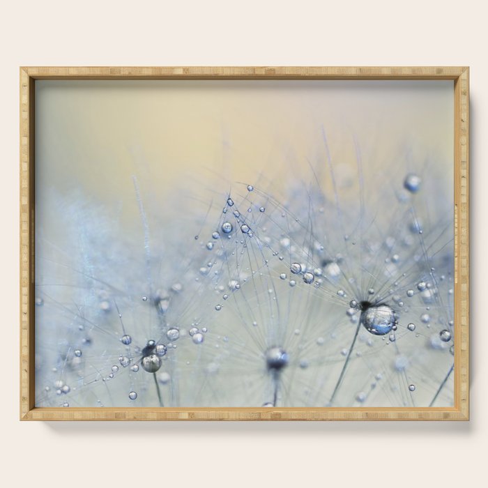 flower photography - dandelion - pastel yellow baby blue floral Serving Tray Gallery Image 1