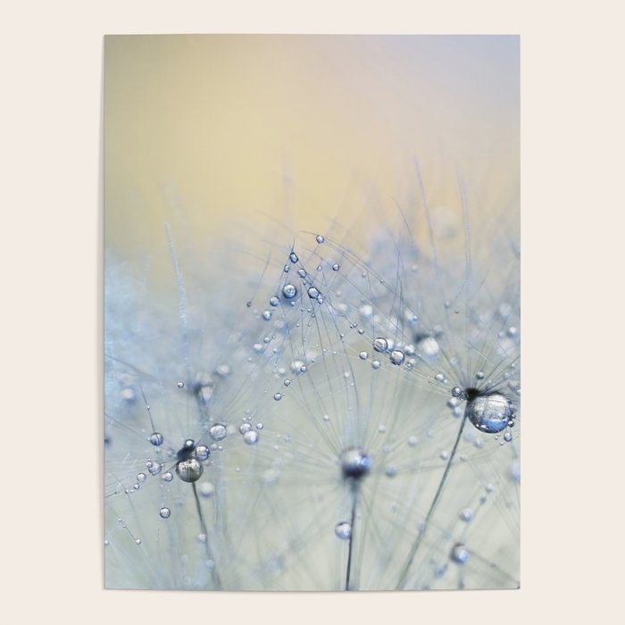 flower photography - dandelion - pastel yellow baby blue floral Poster Gallery Image 1