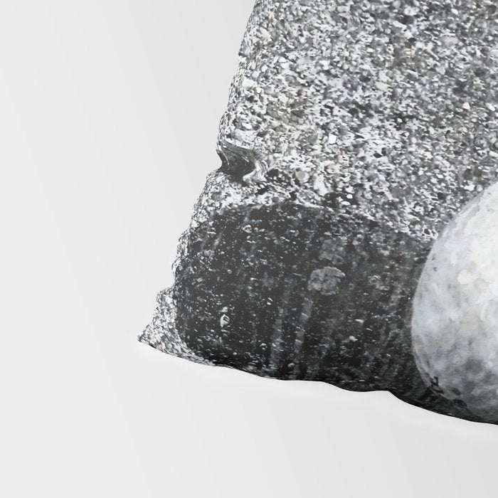 The golf club Pillow Sham Gallery Image 4