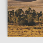 Great Sand Dunes National Park VI Poster Gallery Image 3