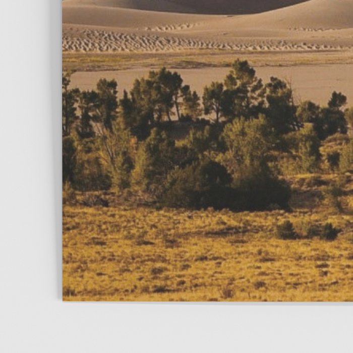 Great Sand Dunes National Park VI Poster Gallery Image 3