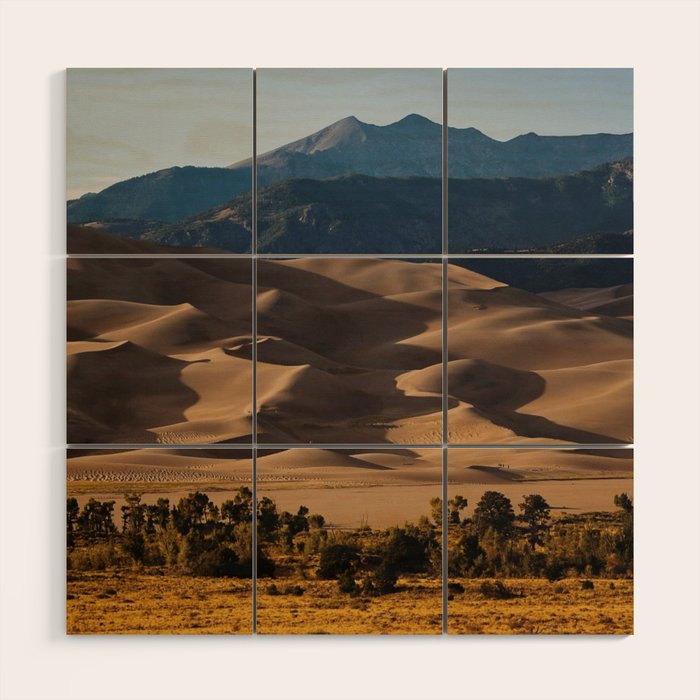 Great Sand Dunes National Park VI Wood Wall Art Gallery Image 1