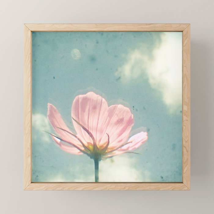 Pink Cosmos Mini Art Print Gallery Image 1