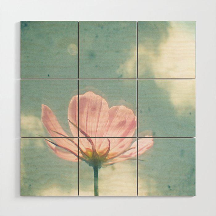 Pink Cosmos Wood Wall Art Gallery Image 1