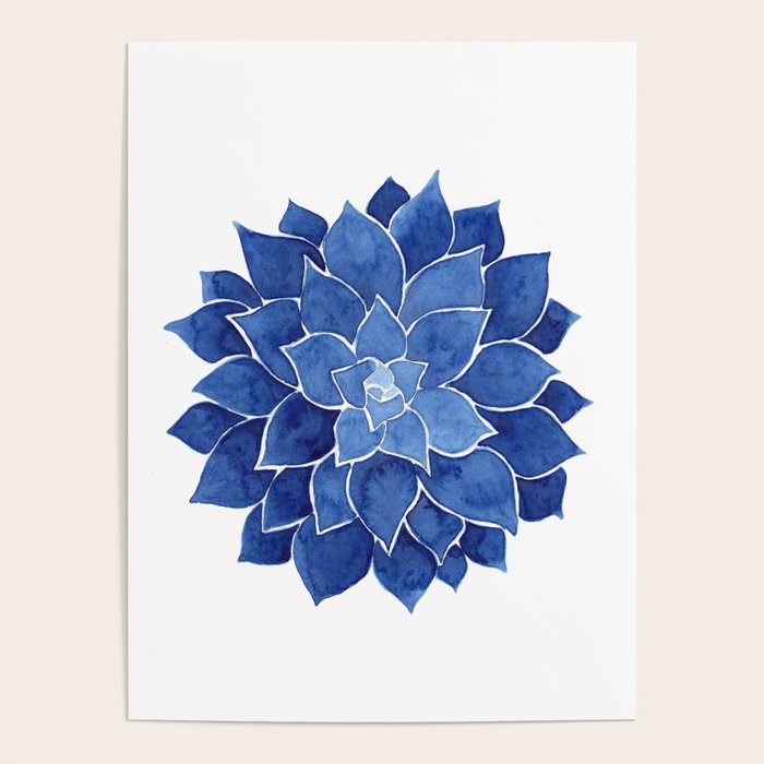 Indigo Succulent |  Watercolor Painting Poster Gallery Image 1