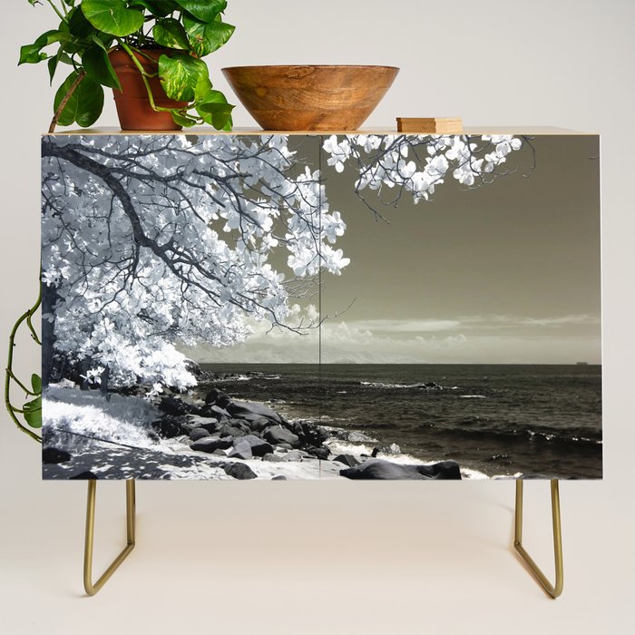 Coast 14 Credenza Gallery Image 1