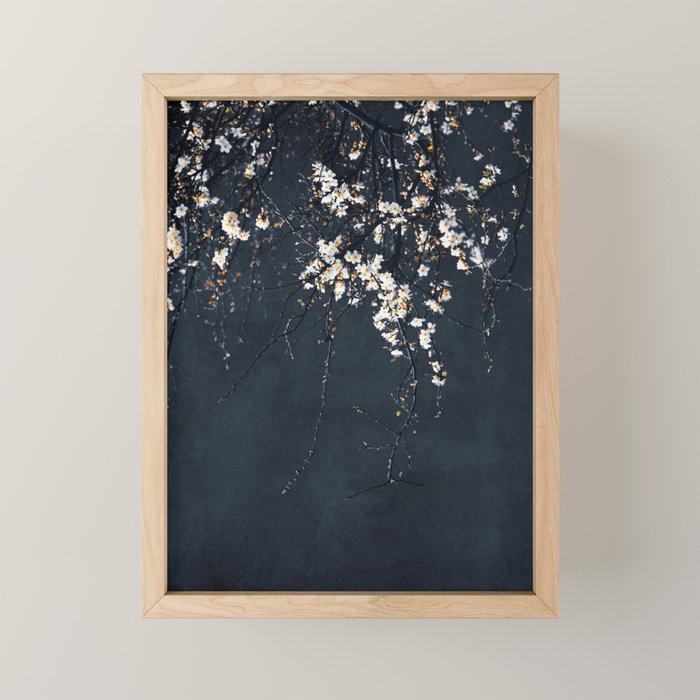 White Blossom Flowers on Blue Texture - Tree - Elegant Floral - Nature photography Mini Art Print Gallery Image 1